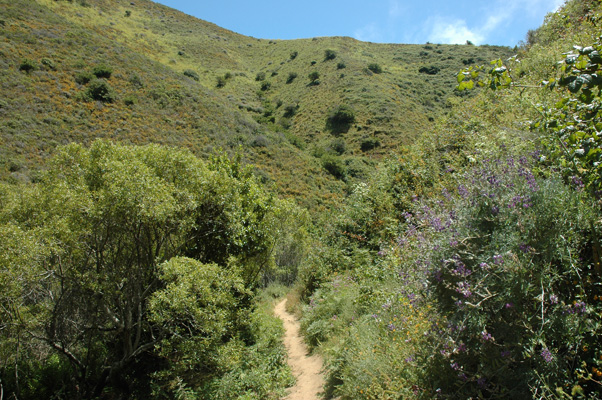 Soberanes Canyon 059.jpg